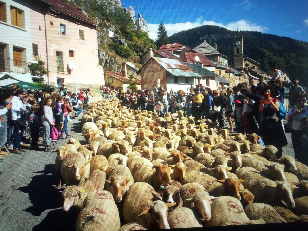 Le Chalet Des Buisses Hotell Roubion Eksteriør bilde
